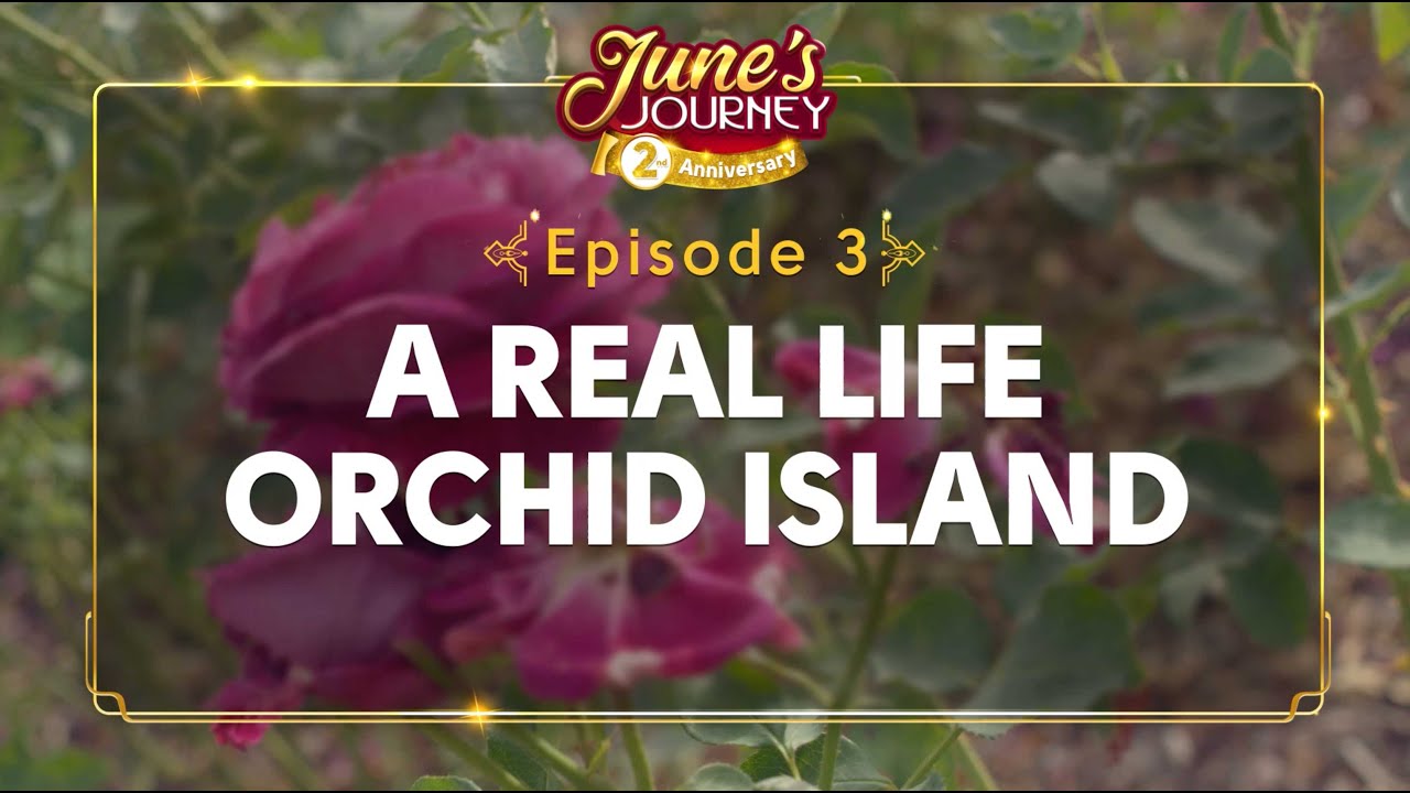 A REAL LIFE Orchid Island?! (Hidden Talents - Episode 3)