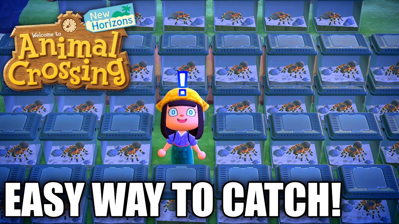 HOW TO Catch TARANTULA EASY in Animal Crossing New Horizons