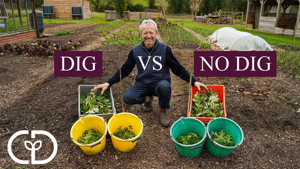 Dig vs no dig trial beds