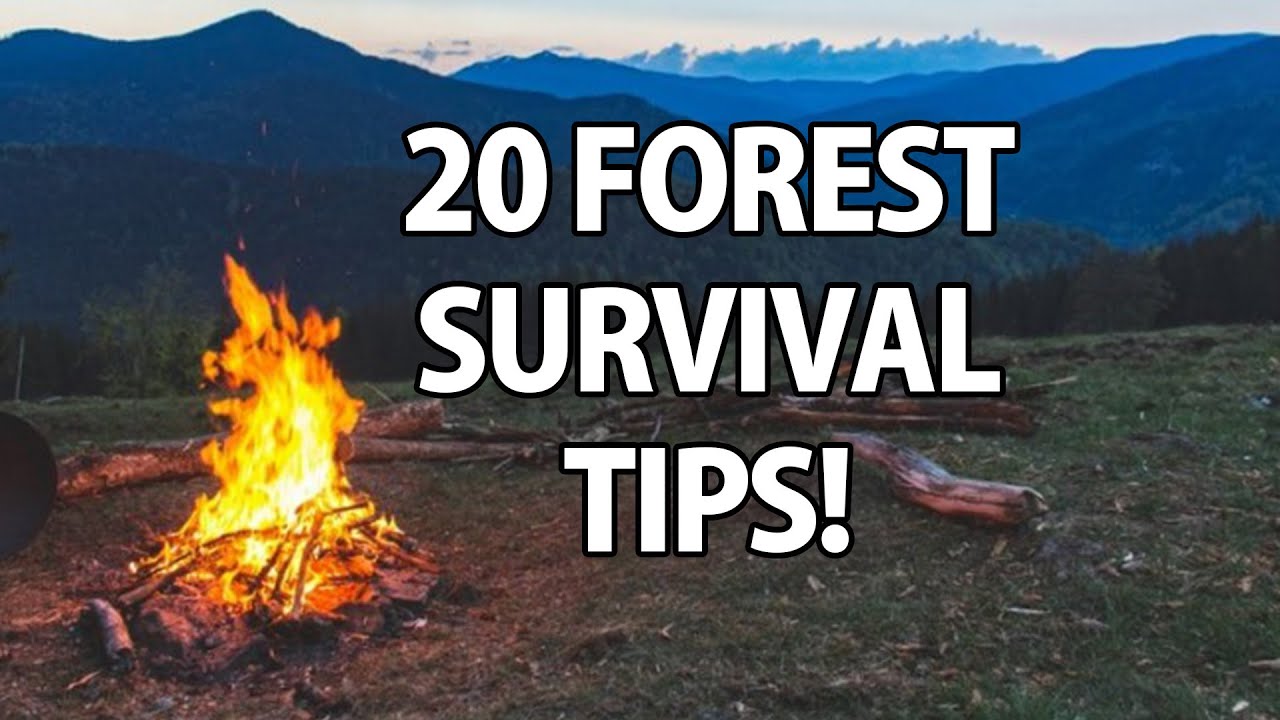 20 Wilderness Survival Tips! 【 2022 】 Mr Trucos