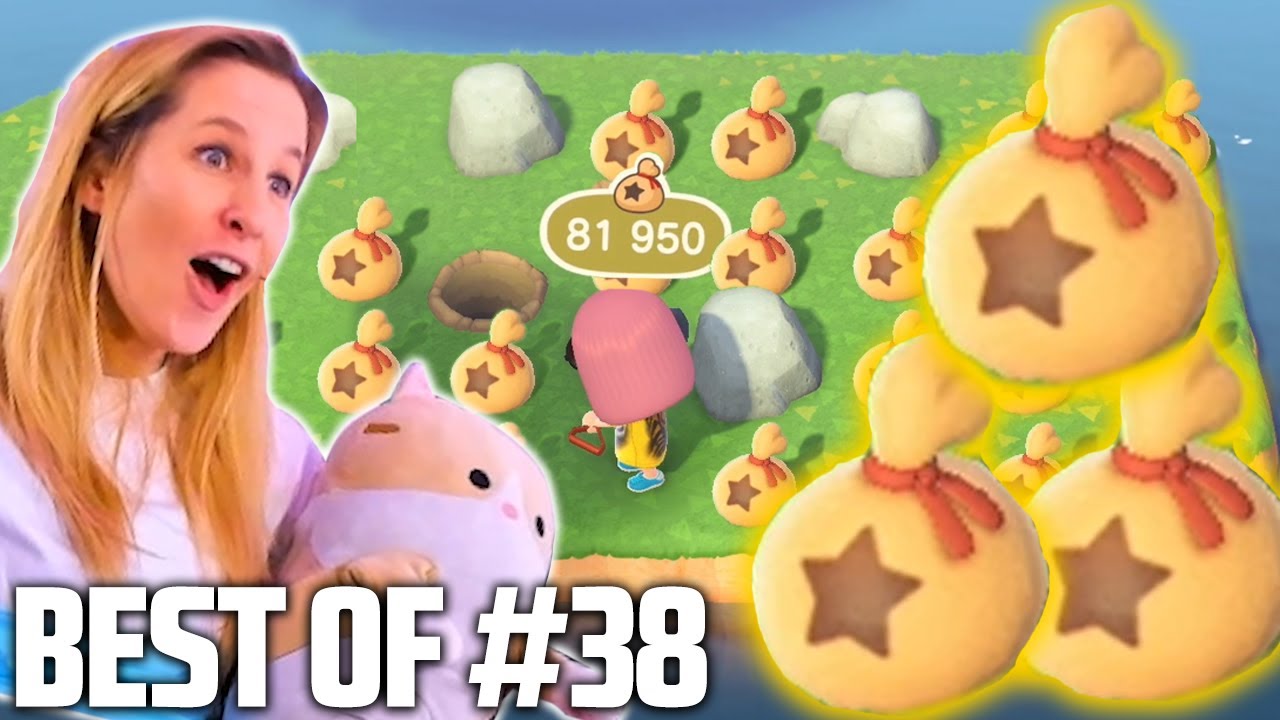 BEST WAY to MAKE MONEY on ANIMAL CROSSING: NEW HORIZONS! 🤑🤑🤑 | BEST OF #38