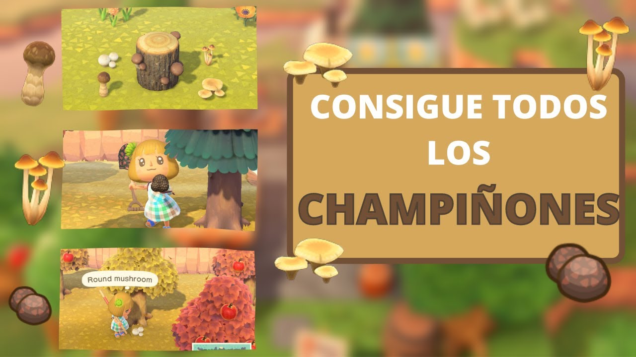 Cómo conseguir CHAMPIÑON RARO y TODOS LOS CHAMPIÑONES en Animal Crossing New Horizons | CobayasGamer