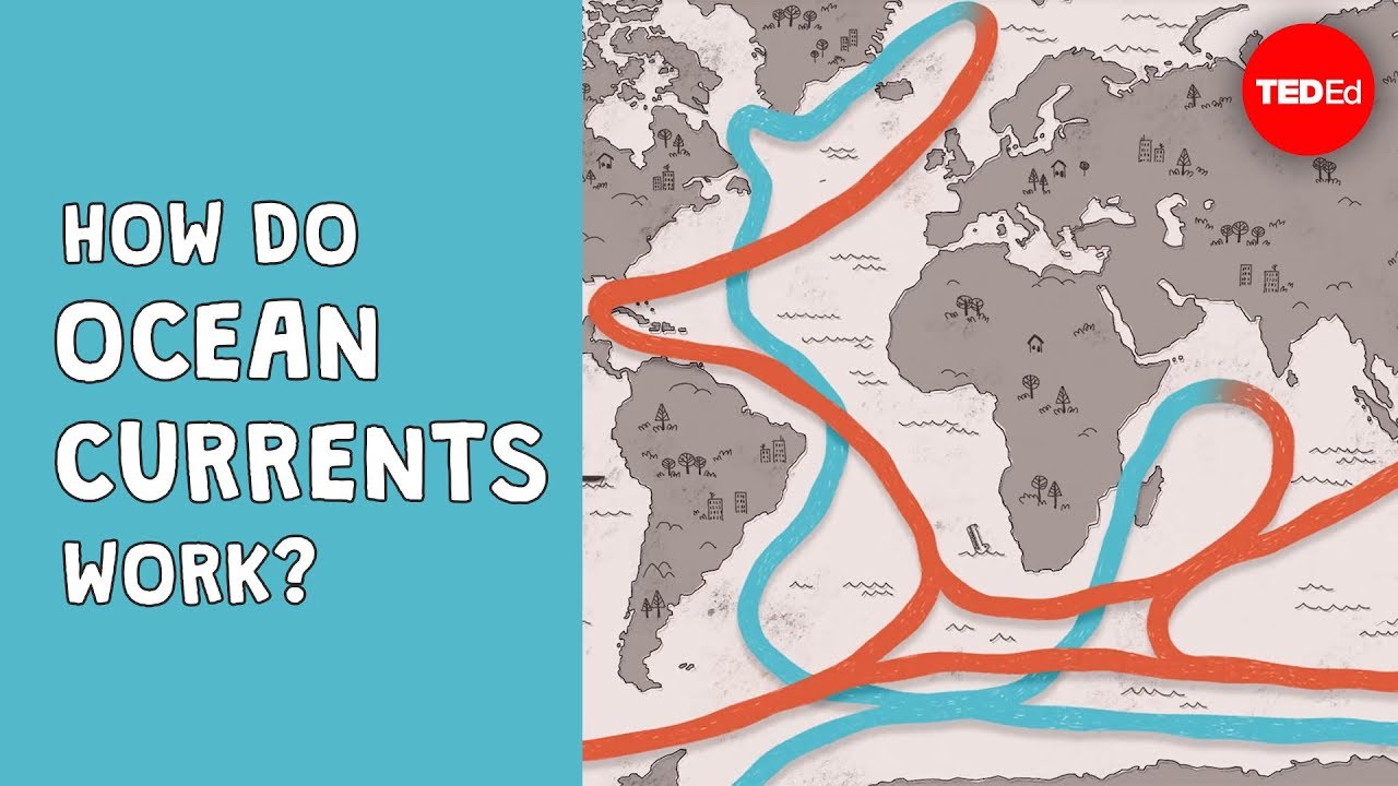 How do ocean currents work? - Jennifer Verduin