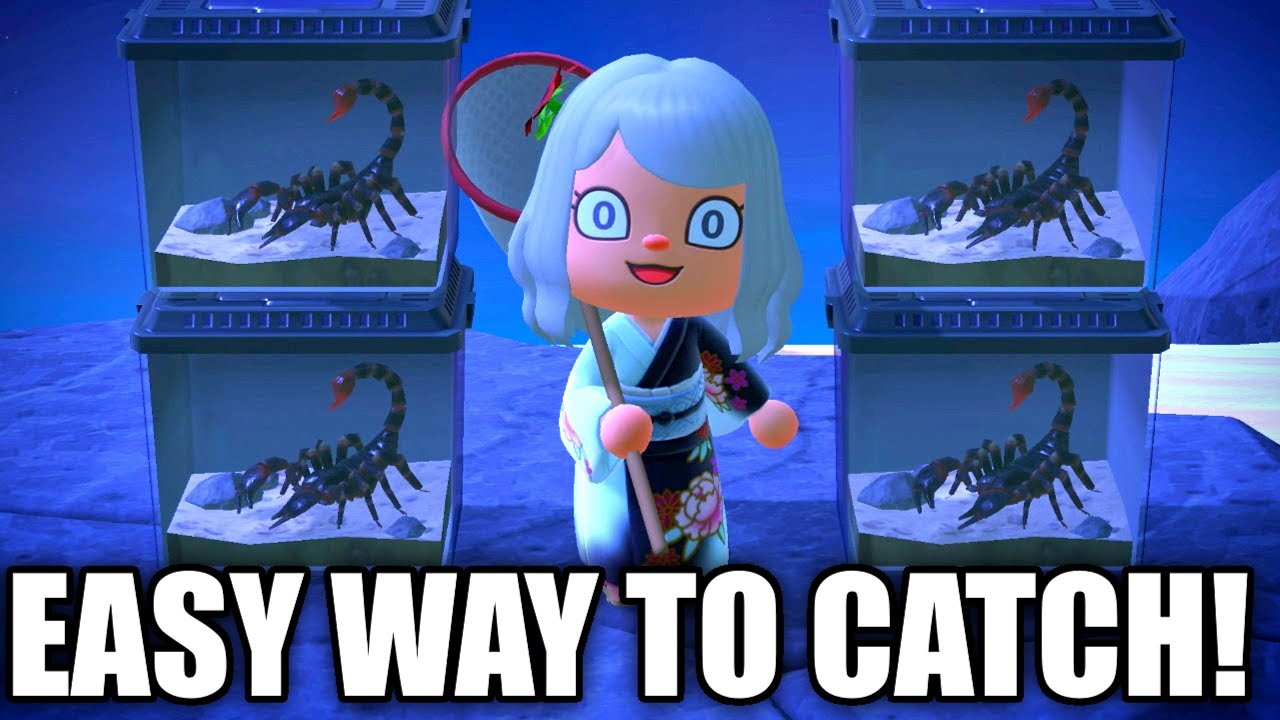 HOW TO Catch SCORPION EASY in Animal Crossing New Horizons