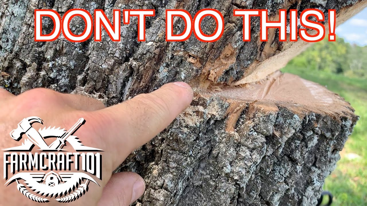 No Nonsense Guide to Tree Felling. How to cut down a tree safely. FarmCraft101