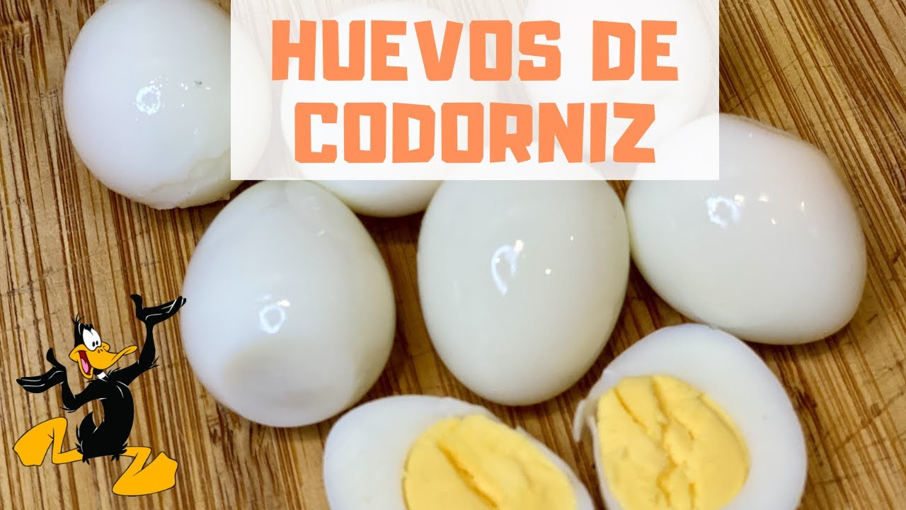 Cómo Cocer Huevos de Codorniz y Tiempo de Cocción ¡RECETA CON HUEVO! 【 2022 】 | Mr Trucos