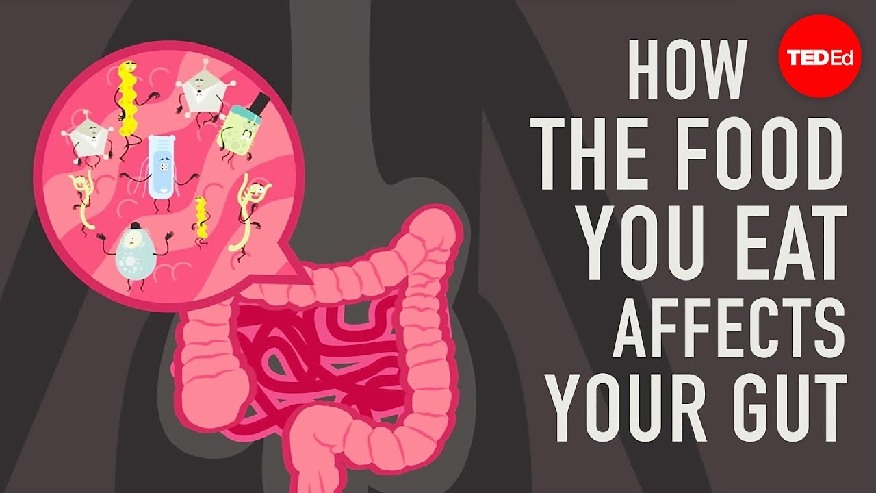 Cómo los alimentos que comes afectan tu intestino - Shilpa Ravella