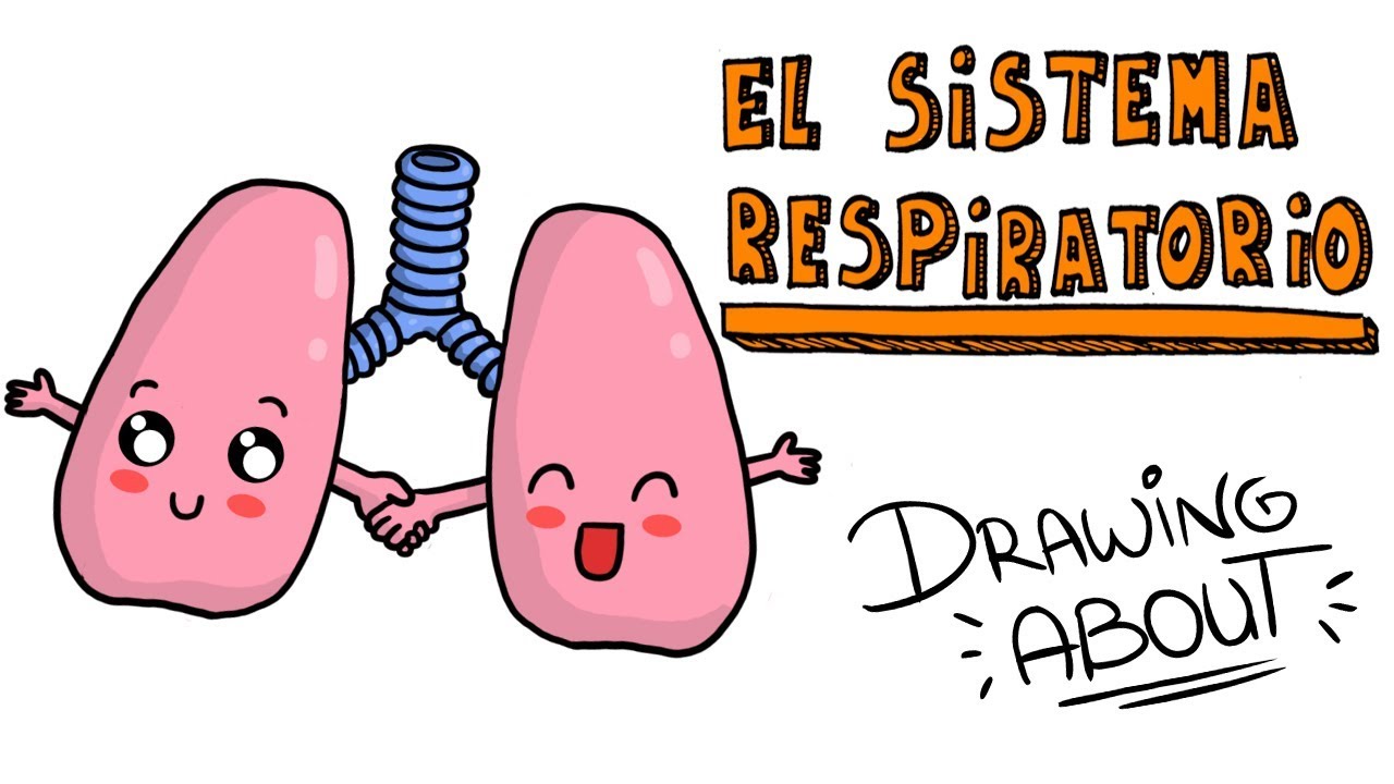 El SISTEMA RESPIRATORIO | Drawing About con @GlóbuloAzul