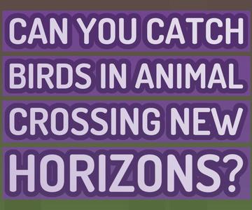 Can you catch birds in Animal Crossing New Horizons?