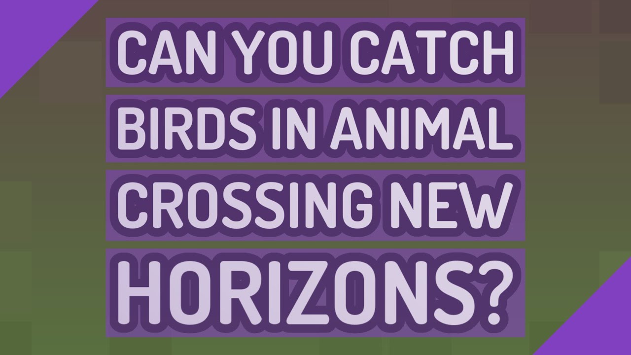 Can you catch birds in Animal Crossing New Horizons?