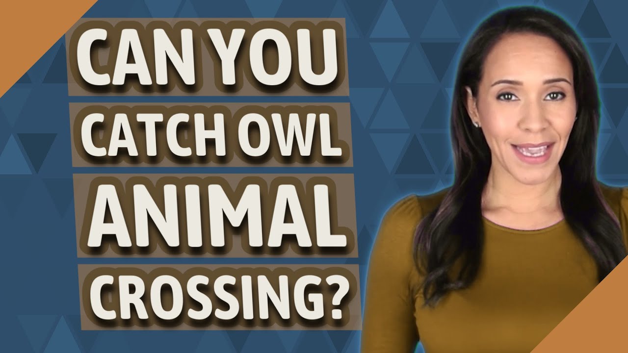 Can you catch Owl Animal Crossing?