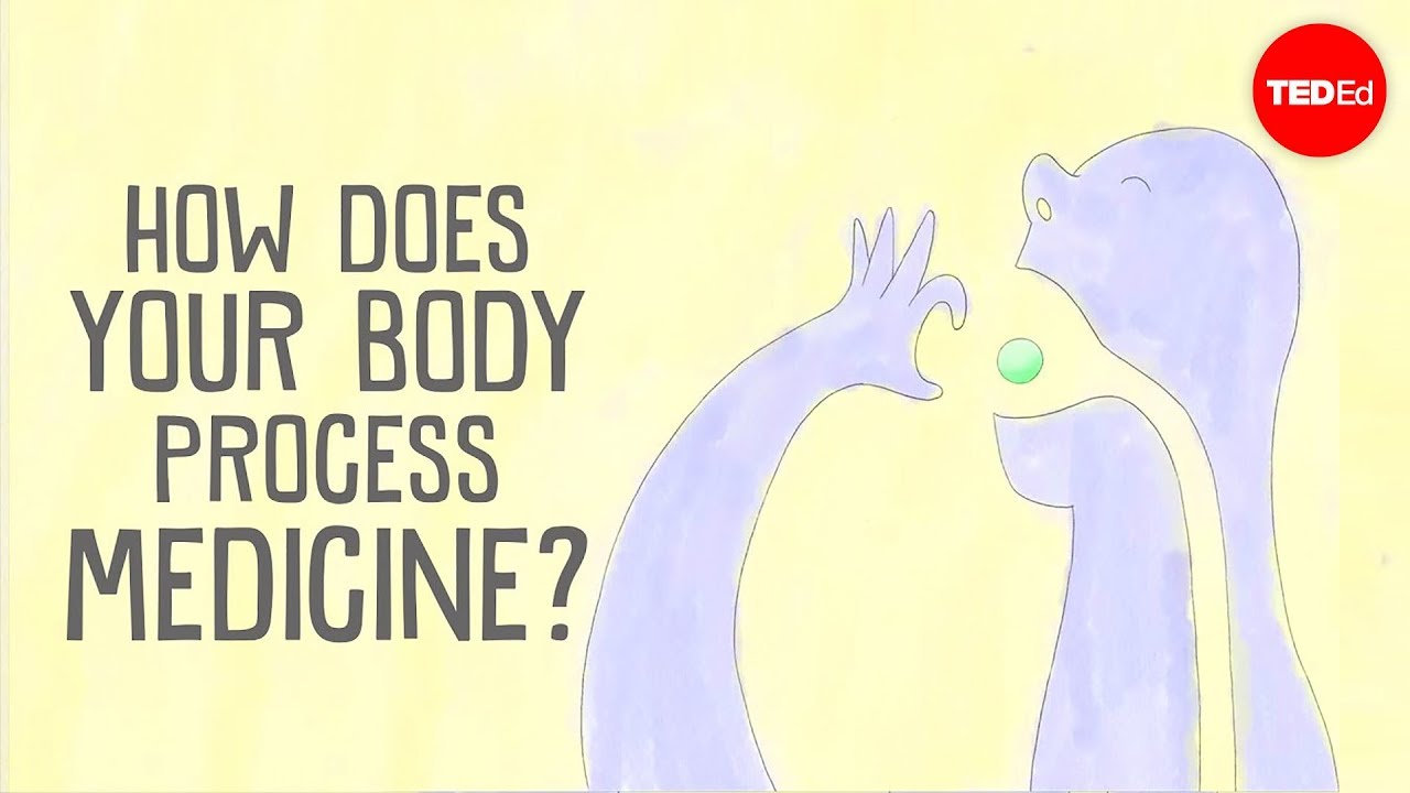 Comment un médicament agit-il dans votre corps ? - Céline Valéry