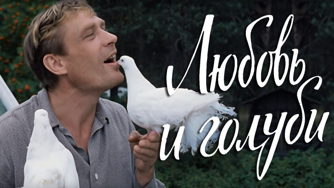 Любовь и голуби (FullHD, комедия, реж. Владимир Меньшов, 1984 г.)