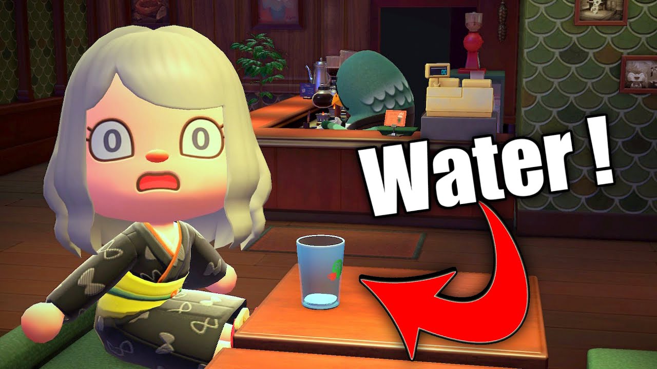 HOW TO Get Water at Roost Cafe in Animal Crossing New Horizons