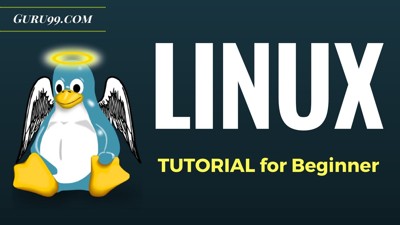 Tutoriel Linux pour débutants