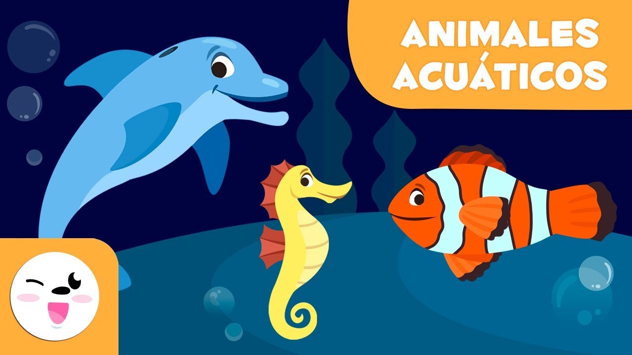 Los animales acuáticos para niños - Vocabulario para niños