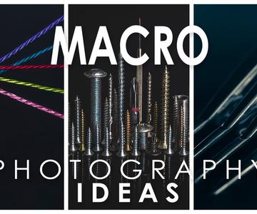 Macro photography ideas - 5 different subjects to shoot at home