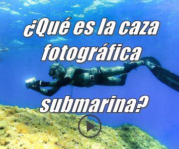 ¿Qué es la caza fotográfica submarina? Underwater fish photography