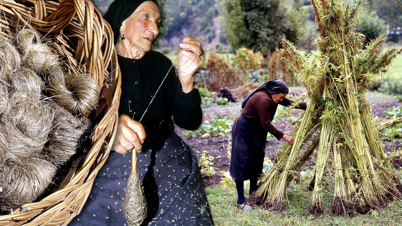 Chanvre dans les Pyrénées. Culture et production traditionnelle de tissus et fibres en 1996