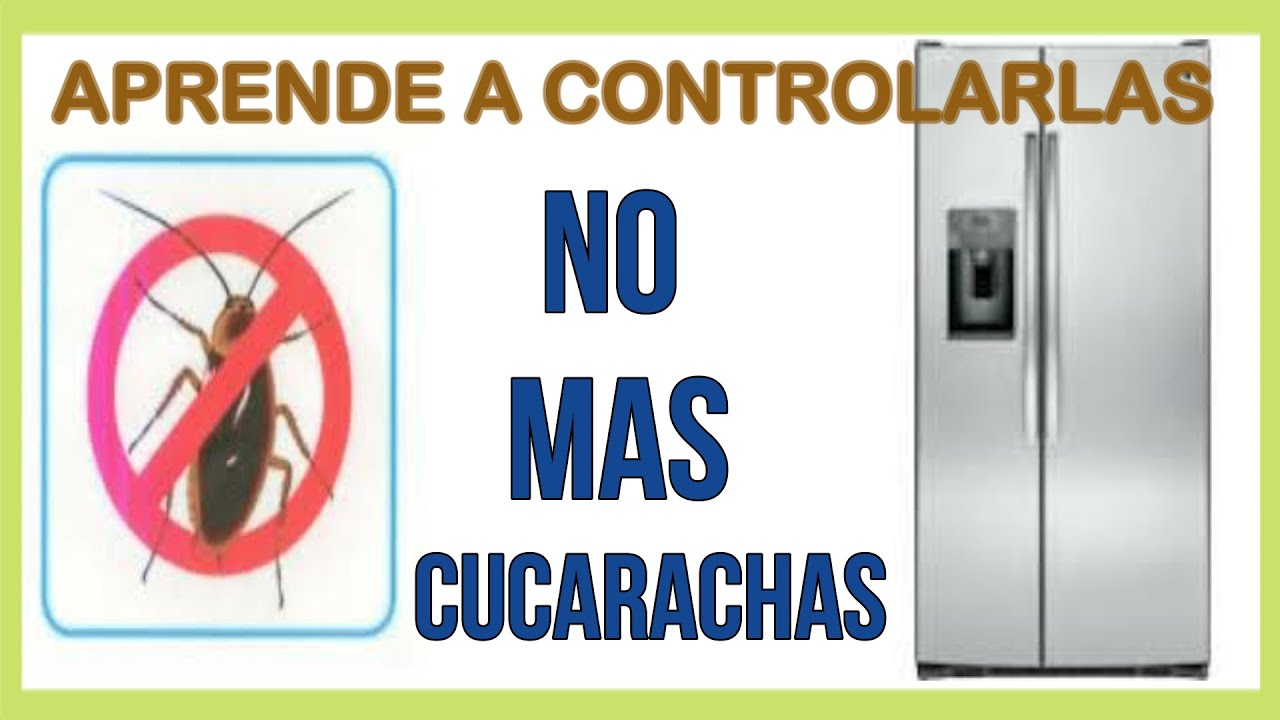 COMO ELIMINAR LAS CUCARACHAS DE LA NEVERA - No More Roaches!!!