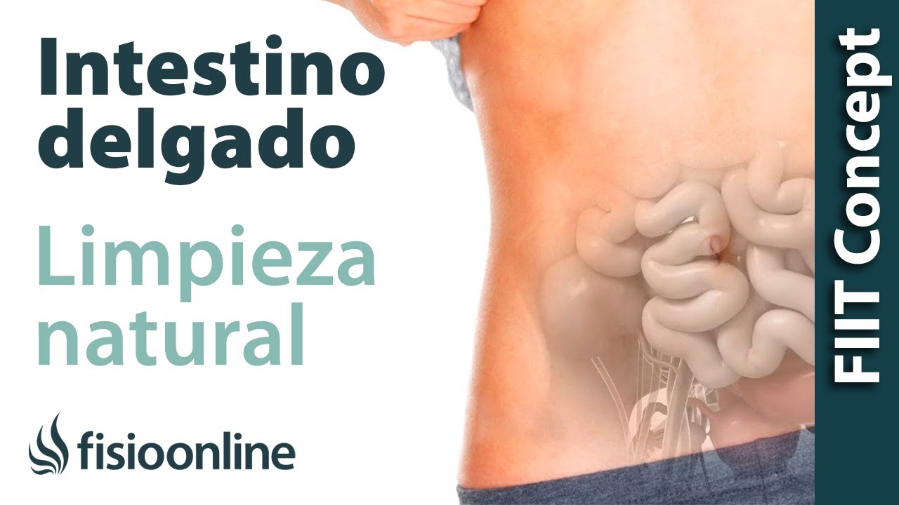 Limpieza de intestino delgado - Desintoxicar el intestino de forma natural