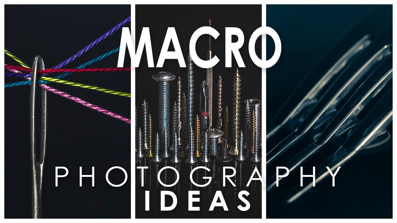 Macro photography ideas - 5 different subjects to shoot at home