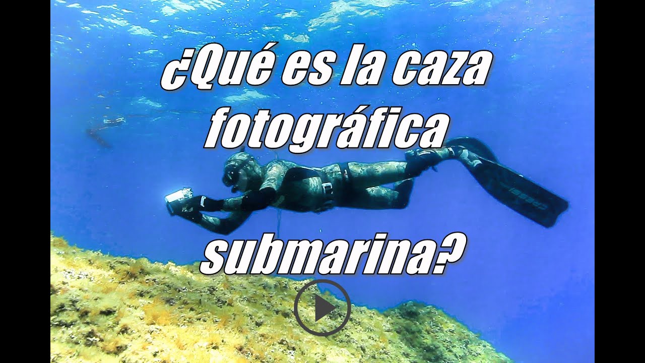 ¿Qué es la caza fotográfica submarina? Underwater fish photography