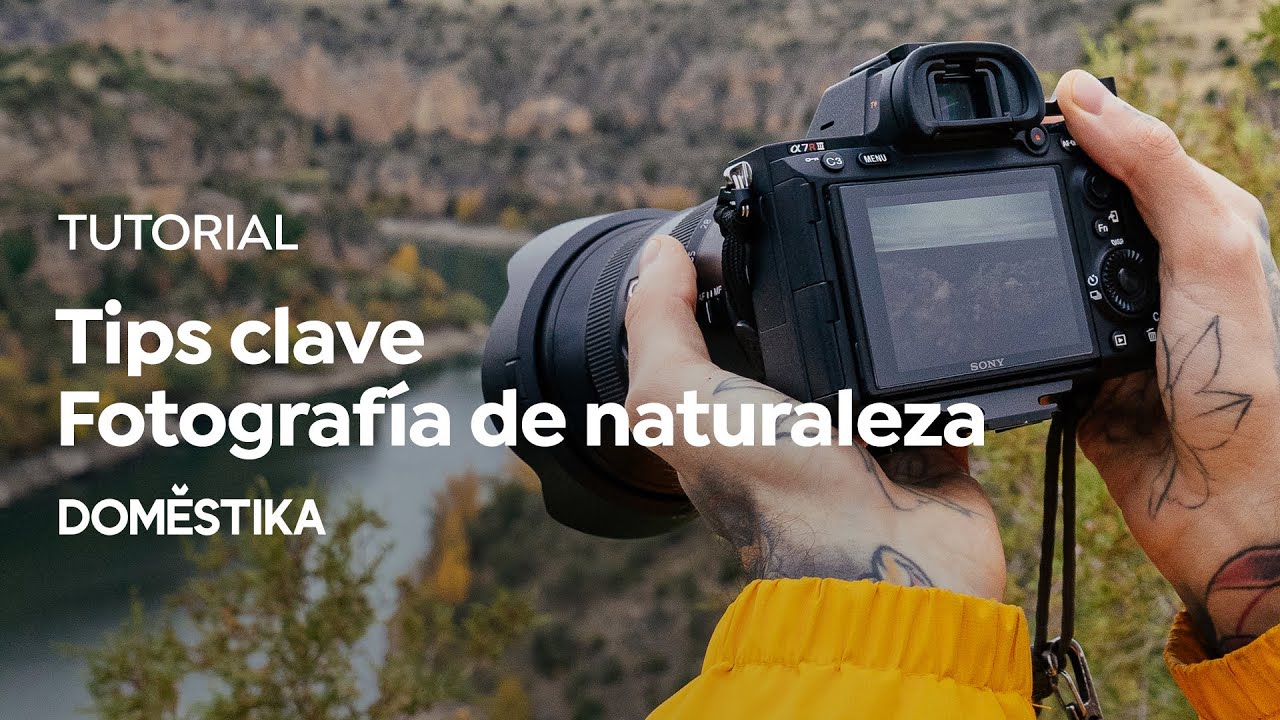 Tutorial Fotografía de naturaleza: Tips básicos para principiantes - Álvaro Valiente - Domestika