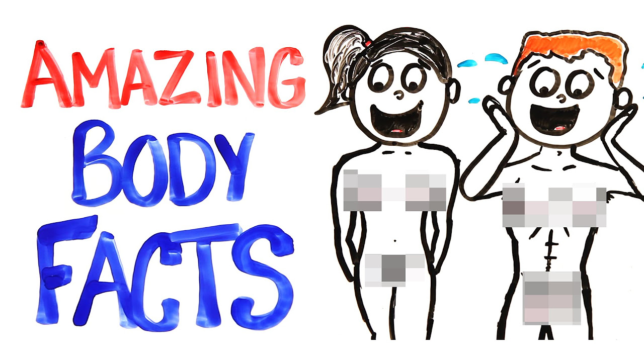 Why Your Body Is AMAZING!
