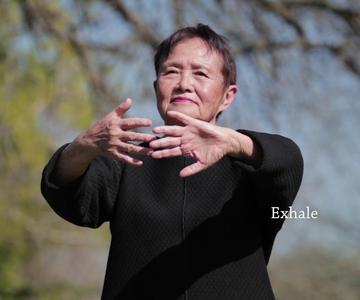 Qigong Full 20-Minute Daily Routine