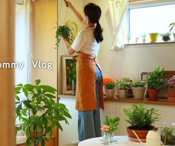 SUB) 예쁜 실내 식물 3가지로 집꾸미는 일상 🪴ㅣ플랜테리어ㅣ식물 고르는 팁ㅣ첫 베이킹 수업ㅣ앵두청, 쟁반막국수, 마들렌, 피낭시에ㅣHamimommy Vlog