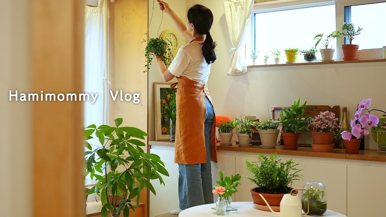 SUB) 예쁜 실내 식물 3가지로 집꾸미는 일상 🪴ㅣ플랜테리어ㅣ식물 고르는 팁ㅣ첫 베이킹 수업ㅣ앵두청, 쟁반막국수, 마들렌, 피낭시에ㅣHamimommy Vlog