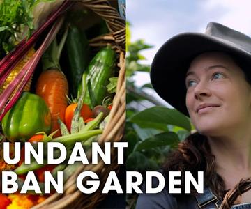 Inspiring Woman Growing a Huge Amount of Food in Her City Permaculture Garden