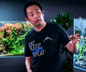 MASTERCLASS - HOW TO BUILD THE PERFECT AQUASCAPE FOR CONTESTS - BY WORLD CHAMPION JOSH SIM