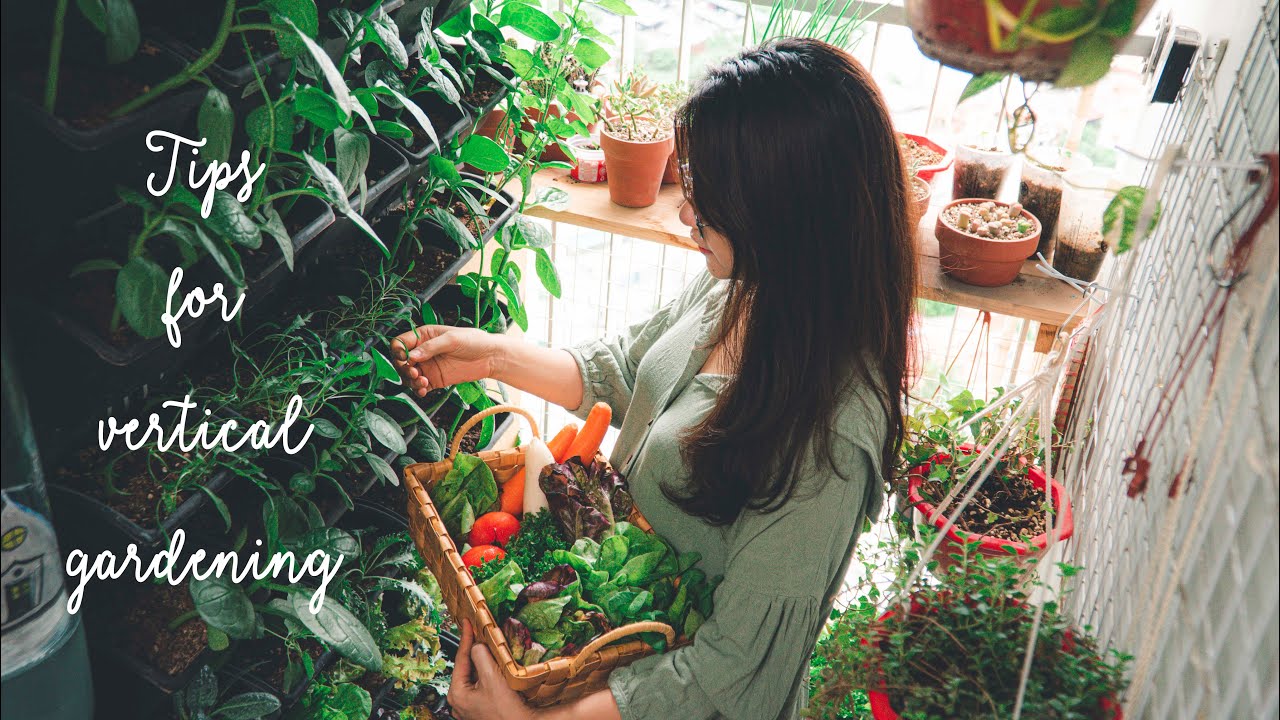 #25 4 conseils de jardinage pour débutant | Ma première récolte dans le petit Jardin Vertical sur le Balcon