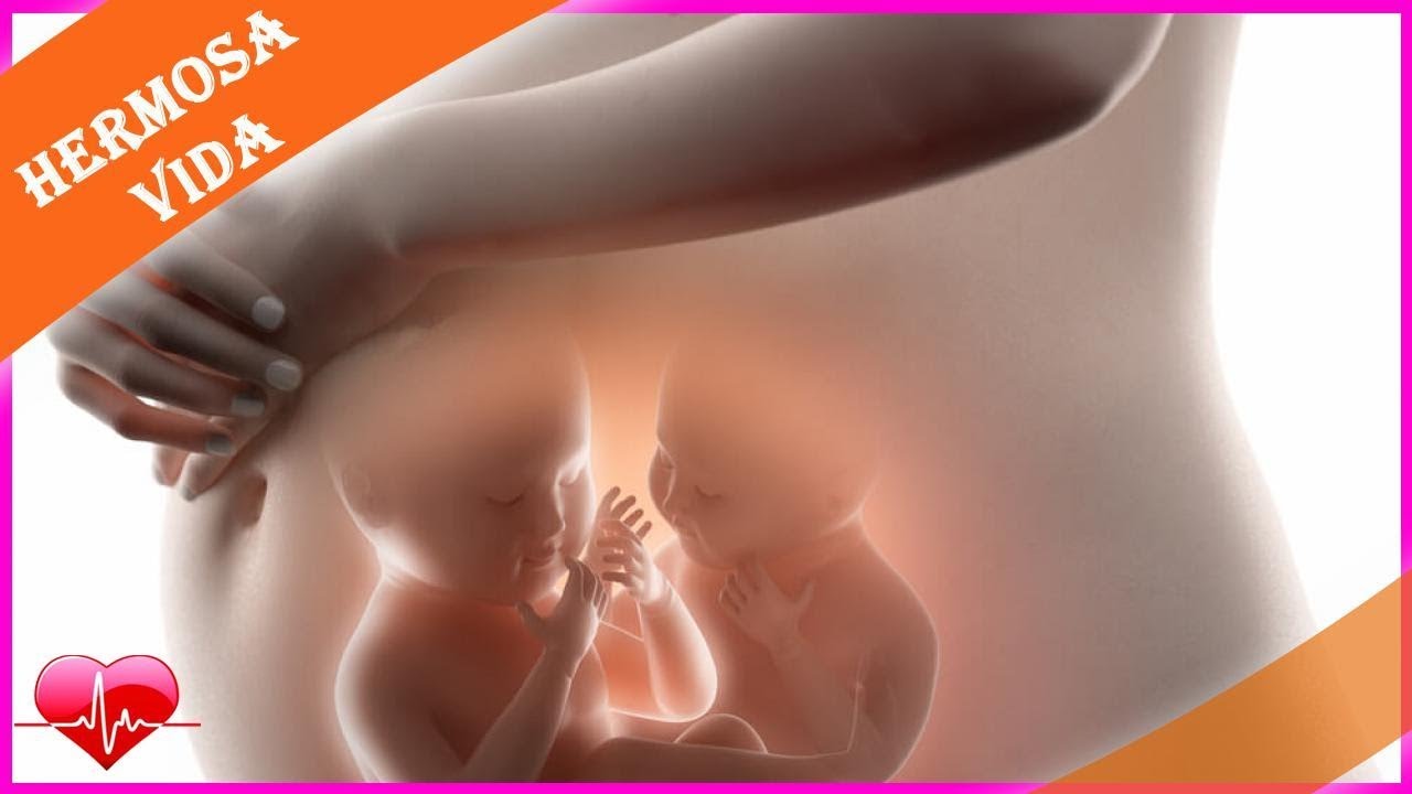 El embarazo múltiple: síntomas más frecuentes