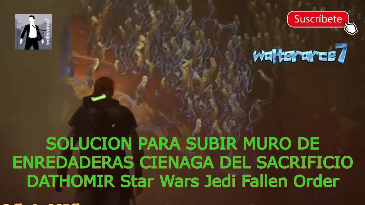 SOLUCION PARA SUBIR MURO DE ENREDADERAS CIENAGA DEL SACRIFICIO DATHOMIR AUDIO MEJORADO Star Wars Jed
