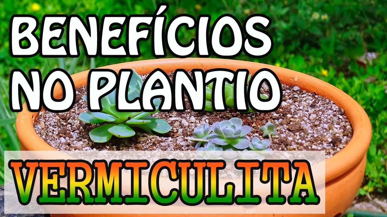 Vermiculita para jardinería - Qué es y cómo usar Vermiculita - Vermiculita expandida