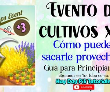 Evento de cultivos prósperos x3 en Hay Day, cómo aprovecharlo mejor?