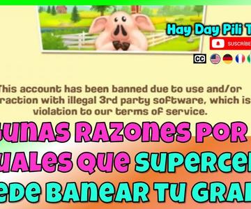 Hay Day - Algunas razones por las cuales supercell puede banear tu granja