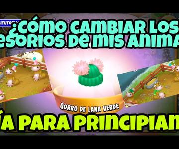 Hay Day Guía para principiantes - Cómo cambiar los accesorios de los animales de la granja?