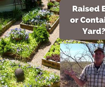 Raised Bed \u0026 Container Gardens - NOT Just for Veggies