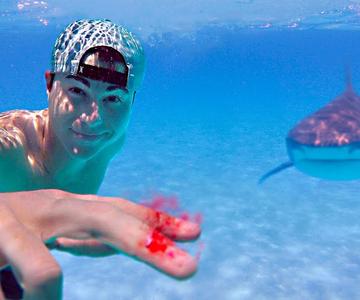 Testing if Sharks Can Smell a Drop of Blood