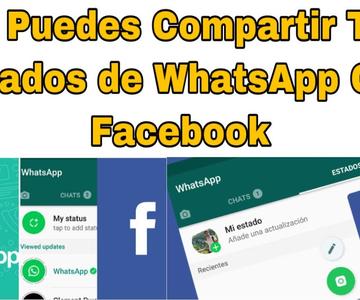 Ya Puedes Publicar Tus Estados Desde Whatsapp En Facebook