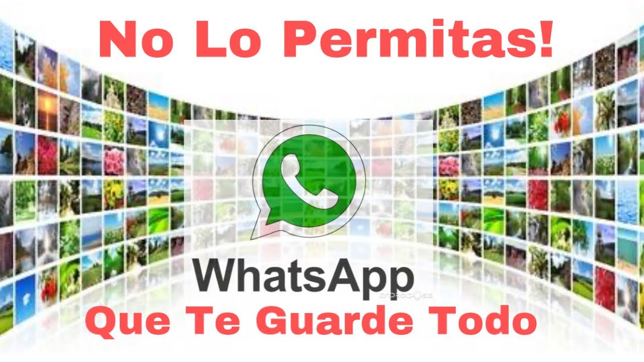 Como Evitar Que Whatsapp Te Llene La Galería De Fotos y Vídeos