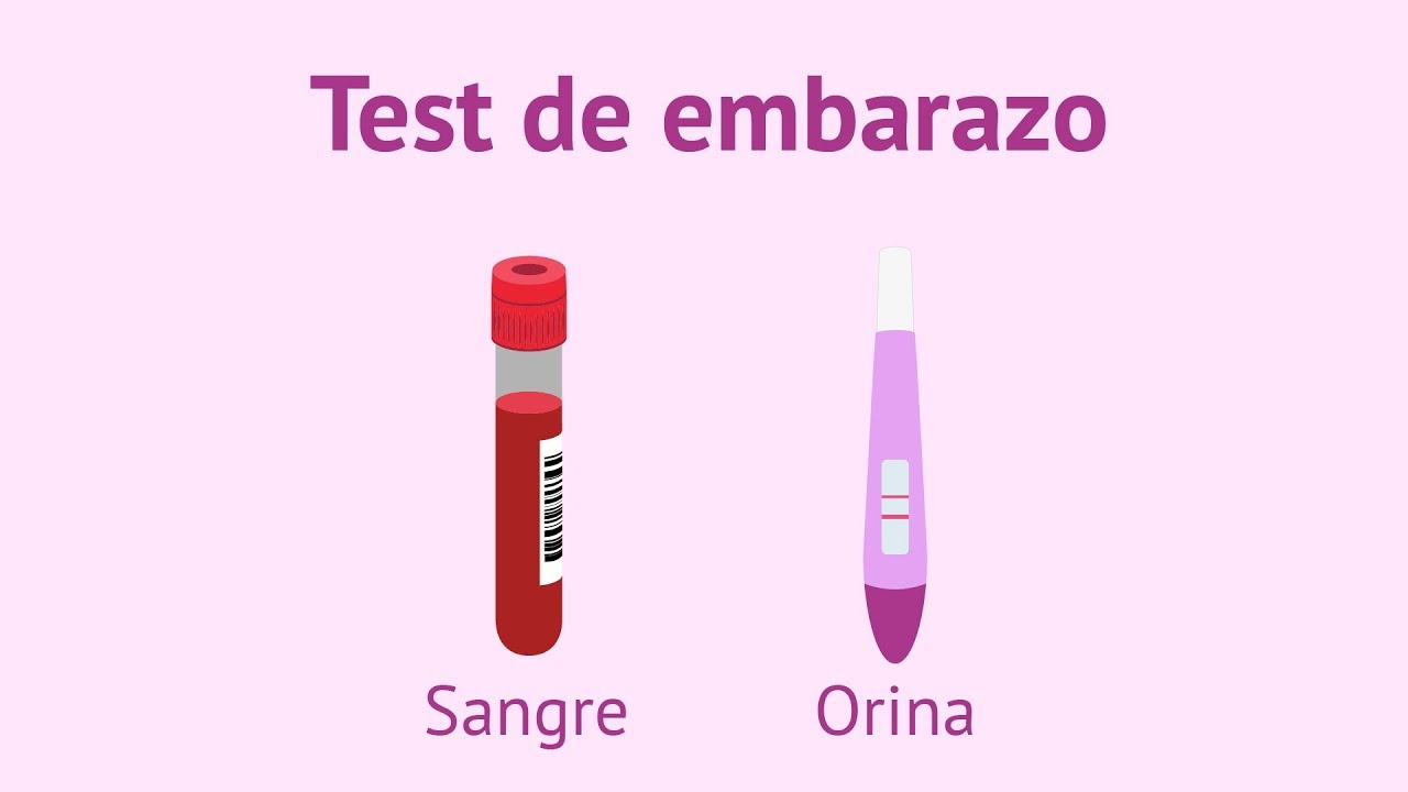 ¿Test de embarazo en orina o en sangre?